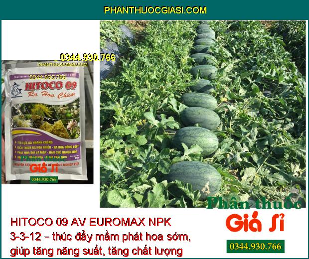 HITOCO 09 AV EUROMAX NPK 3-3-12 – Thúc Đẩy Mầm Hoa - Trổ Bông Đồng Loạt 