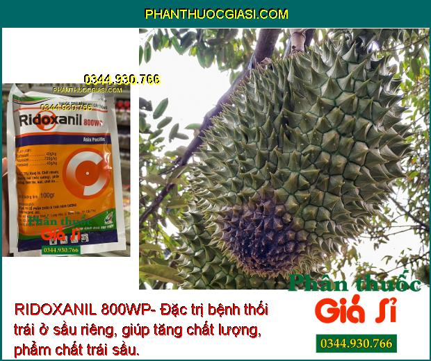 RIDOXANIL 800WP- Đặc Trị Bệnh Do Nấm Gây Hại Cây Trồng