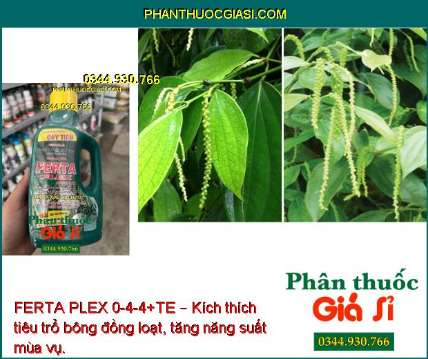 FERTA PLEX 0-4-4+TE – Kích Thích Trổ Bông - Chống Rụng Bông - Tăng Đậu Trái