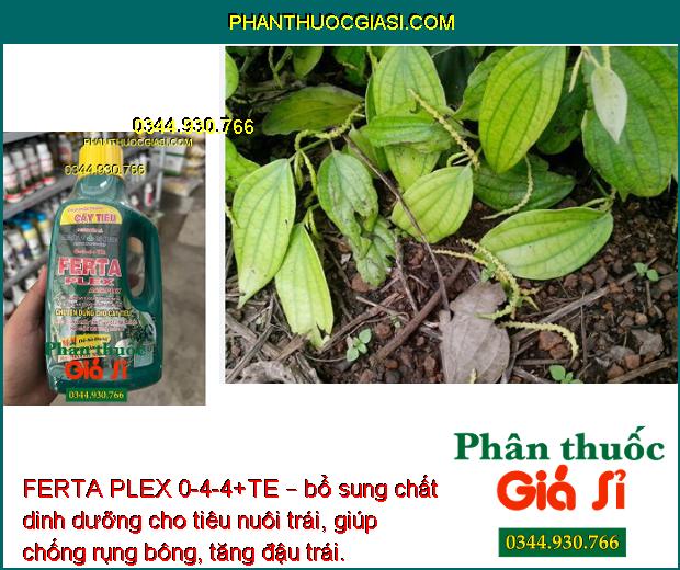 FERTA PLEX 0-4-4+TE – Kích Thích Trổ Bông - Chống Rụng Bông - Tăng Đậu Trái