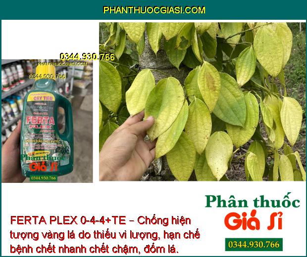 FERTA PLEX 0-4-4+TE – Kích Thích Trổ Bông - Chống Rụng Bông - Tăng Đậu Trái