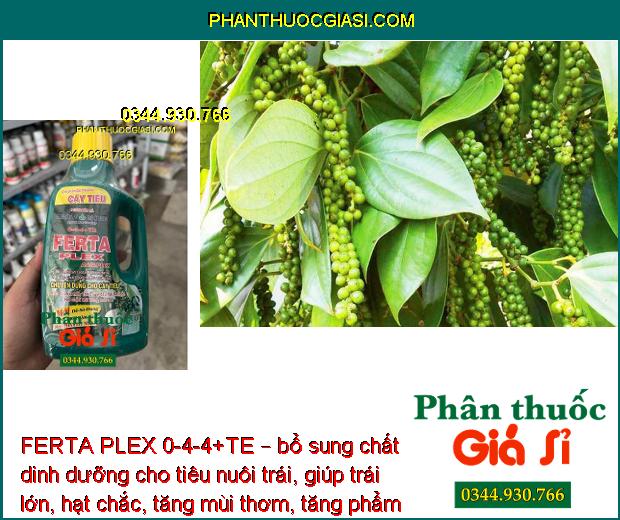 FERTA PLEX 0-4-4+TE – Kích Thích Trổ Bông - Chống Rụng Bông - Tăng Đậu Trái