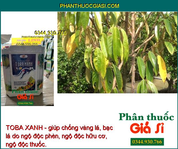 TOBA XANH - Chống Thối Rễ - Cải Tạo Đất - Kích Ra Rễ - Tăng Đề Kháng