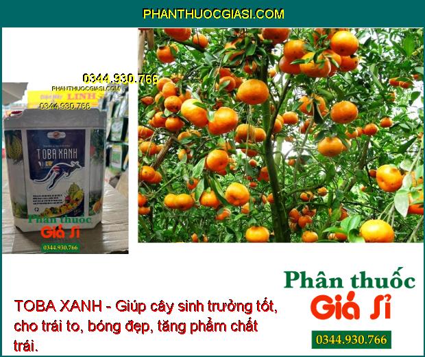 TOBA XANH - Chống Thối Rễ - Cải Tạo Đất - Kích Ra Rễ - Tăng Đề Kháng