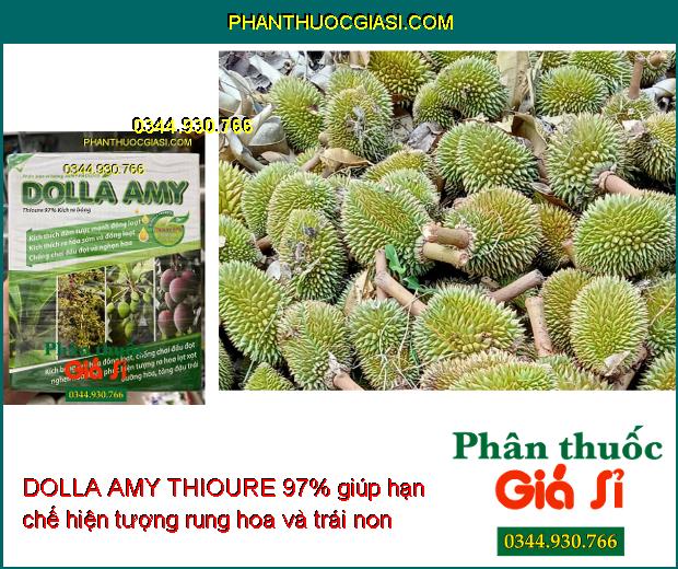 DOLLA AMY THIOURE 97% – Kích Ra Hoa - Đồng Loạt - Chống Chai Đầu Đọt - Tăng Năng Suất