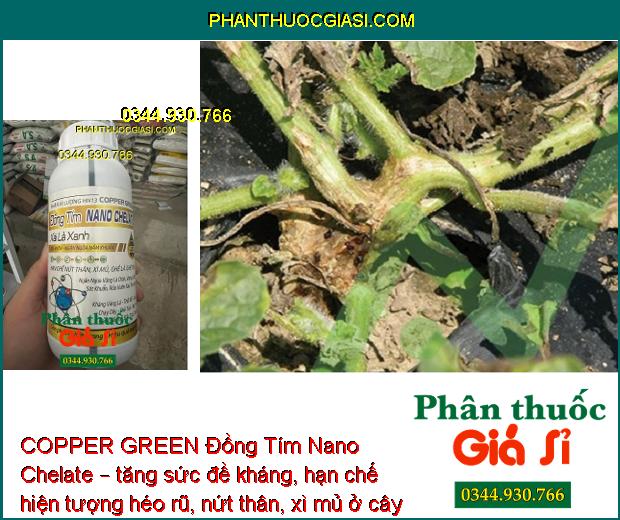 COPPER GREEN Đồng Tím Nano Chelate – Sát Khuẩn -  Ngăn Ngừa Nấm Bệnh - Tăng Sức Đề Kháng