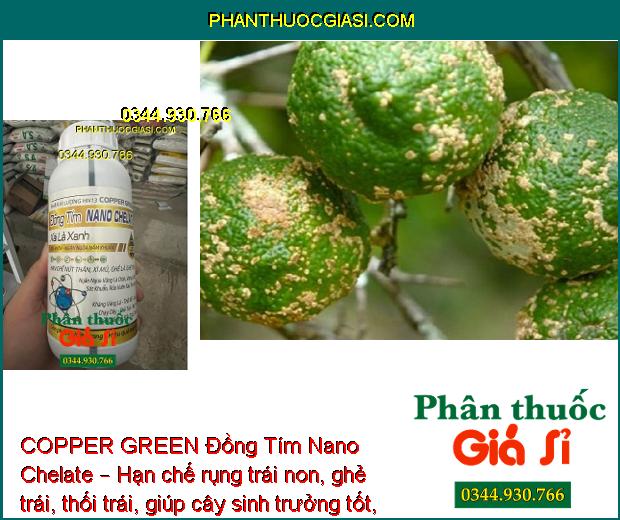 COPPER GREEN Đồng Tím Nano Chelate – Sát Khuẩn -  Ngăn Ngừa Nấm Bệnh - Tăng Sức Đề Kháng