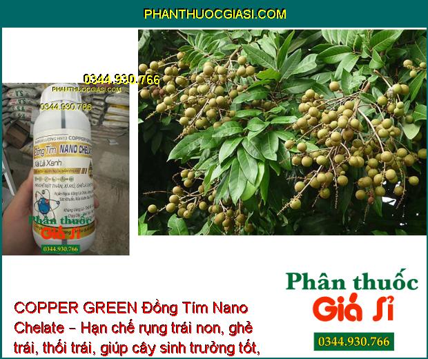 COPPER GREEN Đồng Tím Nano Chelate – Sát Khuẩn -  Ngăn Ngừa Nấm Bệnh - Tăng Sức Đề Kháng