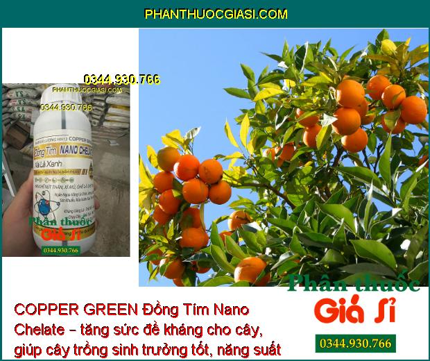 COPPER GREEN Đồng Tím Nano Chelate – Sát Khuẩn -  Ngăn Ngừa Nấm Bệnh - Tăng Sức Đề Kháng