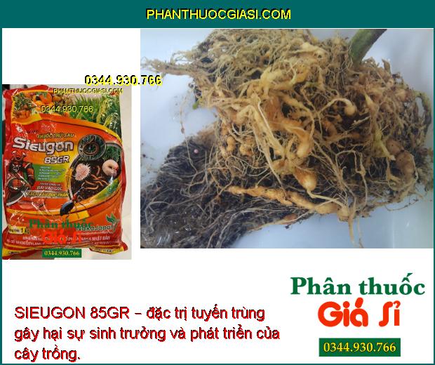 SIEUGON 85GR – Đặc Trị Đuông Dừa - Sâu Đục Thân - Tuyến Trùng