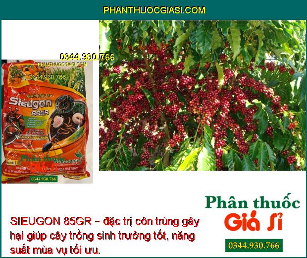 SIEUGON 85GR – Đặc Trị Đuông Dừa - Sâu Đục Thân - Tuyến Trùng