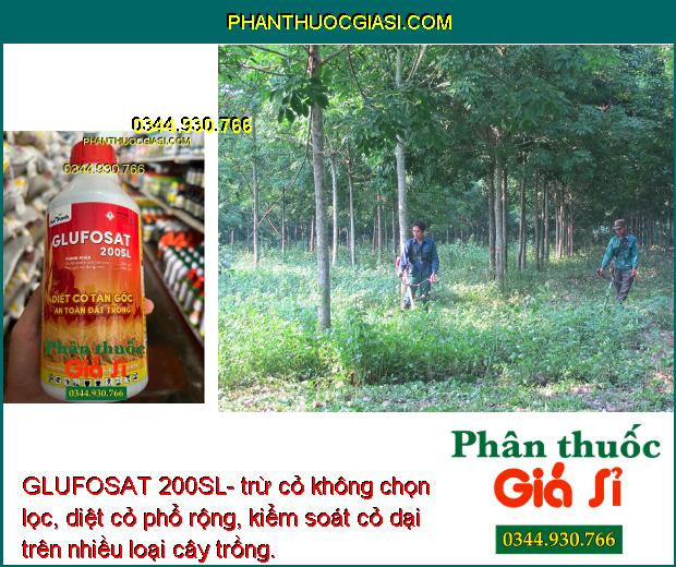 GLUFOSAT 200SL- trừ cỏ không chọn lọc, diệt cỏ phổ rộng, kiểm soát cỏ dại trên nhiều loại cây trồng.