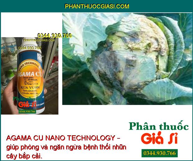 AGAMA CU NANO TECHNOLOGY – Bảo Vệ Cây - Ngăn Ngừa Sự Phát Triển Của Nấm Bệnh