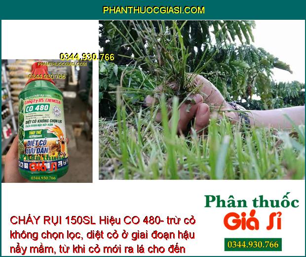 CHÁY RỤI 150SL Hiệu CO 480- Trừ Cỏ Không Chọn Lọc