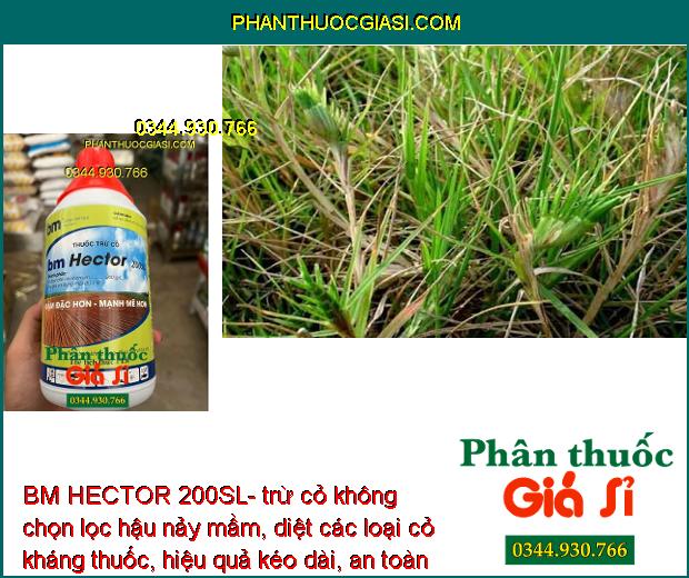 BM HECTOR 200SL- Thuốc Trừ Cỏ Hậu Nảy Mầm - Diệt Trừ Các Loại Cỏ Khó Trị