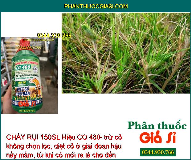 CHÁY RỤI 150SL Hiệu CO 480- Trừ Cỏ Không Chọn Lọc