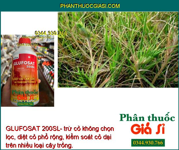 GLUFOSAT 200SL- trừ cỏ không chọn lọc, diệt cỏ phổ rộng, kiểm soát cỏ dại trên nhiều loại cây trồng.