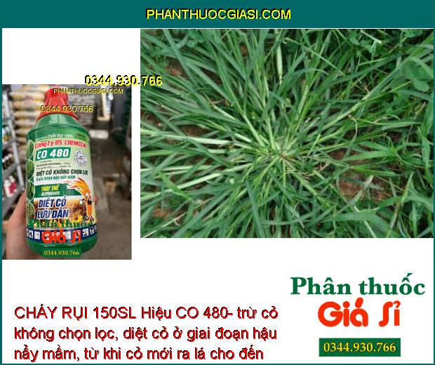 CHÁY RỤI 150SL Hiệu CO 480- Trừ Cỏ Không Chọn Lọc