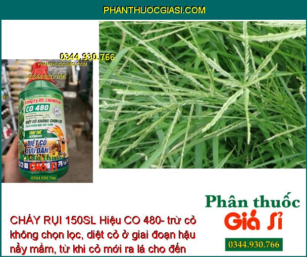 CHÁY RỤI 150SL Hiệu CO 480- Trừ Cỏ Không Chọn Lọc