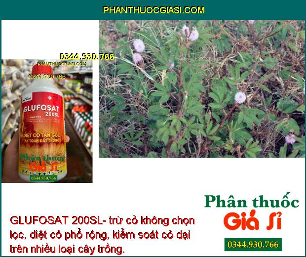 GLUFOSAT 200SL- trừ cỏ không chọn lọc, diệt cỏ phổ rộng, kiểm soát cỏ dại trên nhiều loại cây trồng.