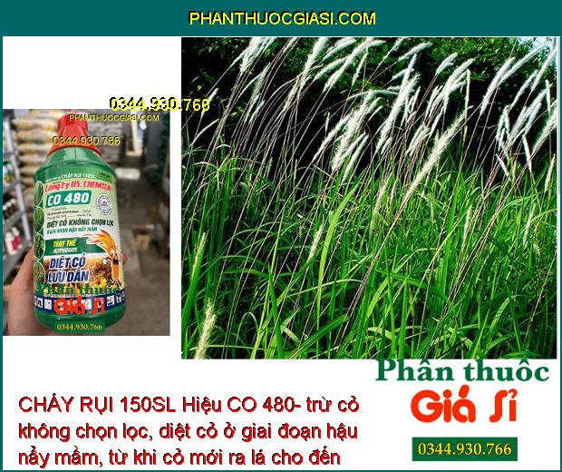 CHÁY RỤI 150SL Hiệu CO 480- Trừ Cỏ Không Chọn Lọc