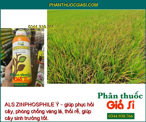 ALS ZINPHOSPHILE Ý – Tăng Đề Kháng - Thúc Đẩy Tăng Trưởng 