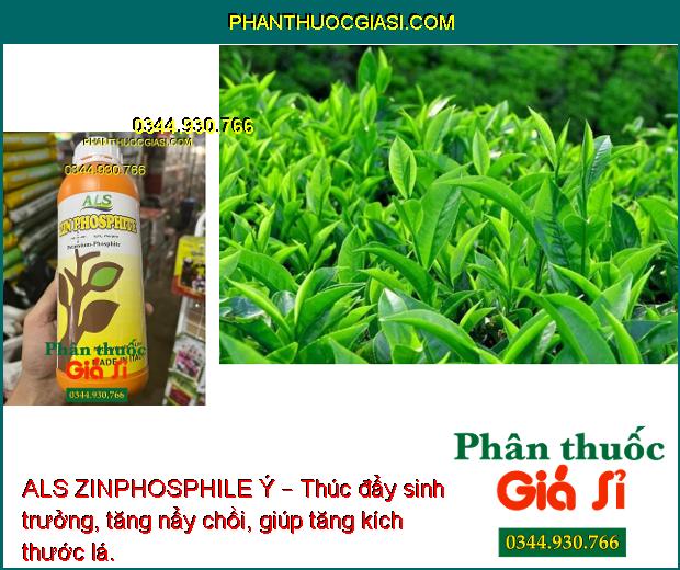 ALS ZINPHOSPHILE Ý – Tăng Đề Kháng - Thúc Đẩy Tăng Trưởng 