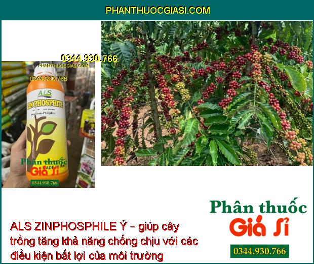 ALS ZINPHOSPHILE Ý – Tăng Đề Kháng - Thúc Đẩy Tăng Trưởng 