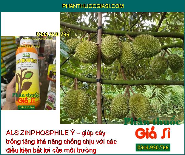 ALS ZINPHOSPHILE Ý – Tăng Đề Kháng - Thúc Đẩy Tăng Trưởng 