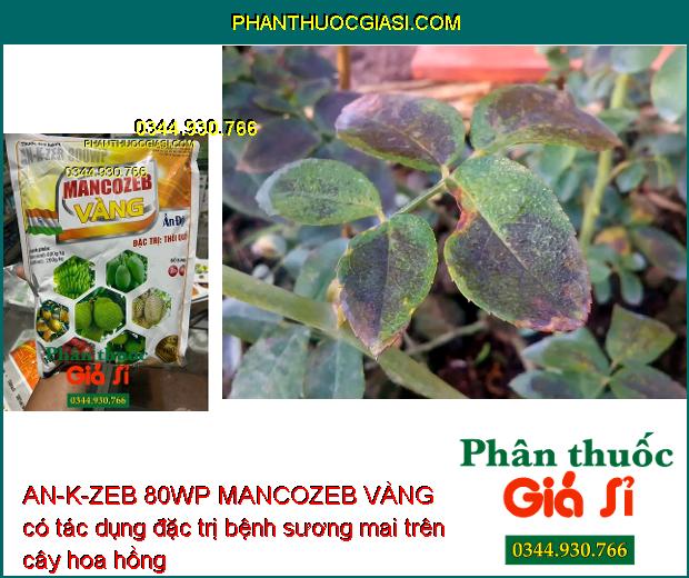 AN-K-ZEB 80WP MANCOZEB VÀNG - Đặc Trị Bệnh Do Nấm Gây Hại Cây Trồng