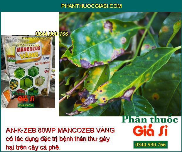 AN-K-ZEB 80WP MANCOZEB VÀNG - Đặc Trị Bệnh Do Nấm Gây Hại Cây Trồng