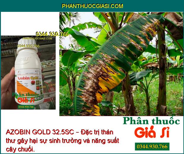 AZOBIN GOLD 32.5SC – Đặc Trị Bệnh Do Nấm Gây Hại Cây Trồng