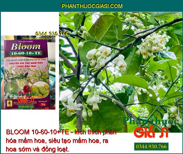 BLOOM 10-60-10+TE - Tăng Thụ Phấn - Tăng Đậu Trái - Chống Rụng Hoa - Dưỡng Trái Non