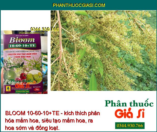 BLOOM 10-60-10+TE - Tăng Thụ Phấn - Tăng Đậu Trái - Chống Rụng Hoa - Dưỡng Trái Non