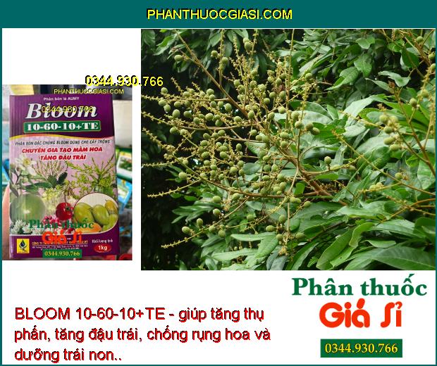 BLOOM 10-60-10+TE - Tăng Thụ Phấn - Tăng Đậu Trái - Chống Rụng Hoa - Dưỡng Trái Non