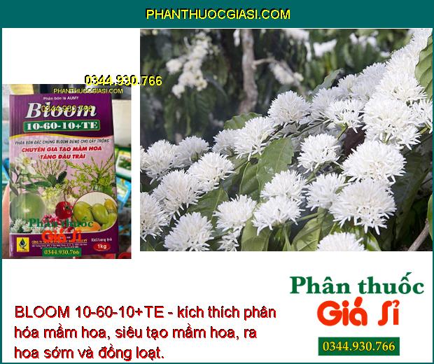 BLOOM 10-60-10+TE - Tăng Thụ Phấn - Tăng Đậu Trái - Chống Rụng Hoa - Dưỡng Trái Non