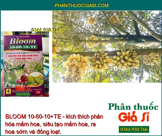 BLOOM 10-60-10+TE - Tăng Thụ Phấn - Tăng Đậu Trái - Chống Rụng Hoa - Dưỡng Trái Non