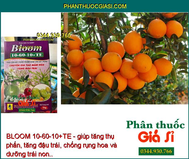 BLOOM 10-60-10+TE - Tăng Thụ Phấn - Tăng Đậu Trái - Chống Rụng Hoa - Dưỡng Trái Non