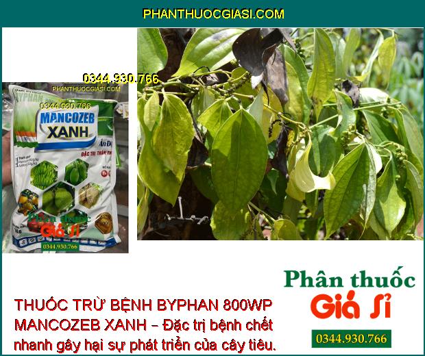 THUỐC TRỪ BỆNH BYPHAN 800WP MANCOZEB XANH – CHUYÊN ĐẶC TRỊ BỆNH THÁN THƯ 