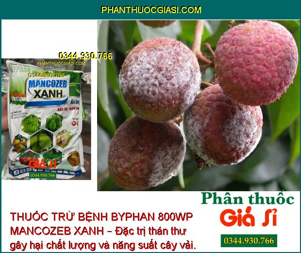 THUỐC TRỪ BỆNH BYPHAN 800WP MANCOZEB XANH – CHUYÊN ĐẶC TRỊ BỆNH THÁN THƯ 