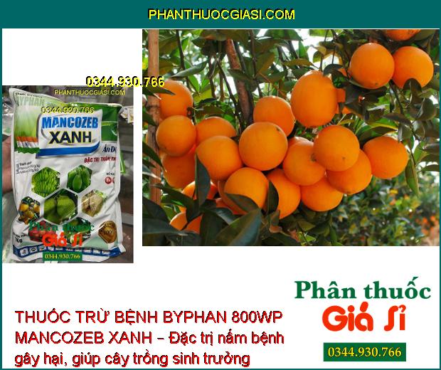 THUỐC TRỪ BỆNH BYPHAN 800WP MANCOZEB XANH – CHUYÊN ĐẶC TRỊ BỆNH THÁN THƯ 