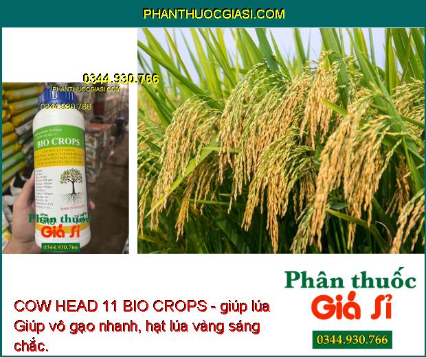 COW HEAD 11 BIO CROPS - Kích Trổ Bông - Chống Rụng Trái -  Dưỡng Trái 