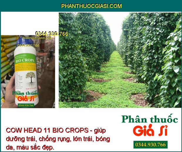 COW HEAD 11 BIO CROPS - Kích Trổ Bông - Chống Rụng Trái -  Dưỡng Trái 