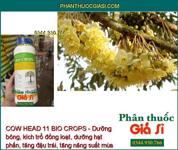 COW HEAD 11 BIO CROPS - Kích Trổ Bông - Chống Rụng Trái -  Dưỡng Trái 