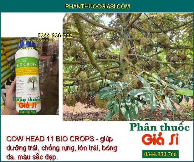 COW HEAD 11 BIO CROPS - Kích Trổ Bông - Chống Rụng Trái -  Dưỡng Trái 