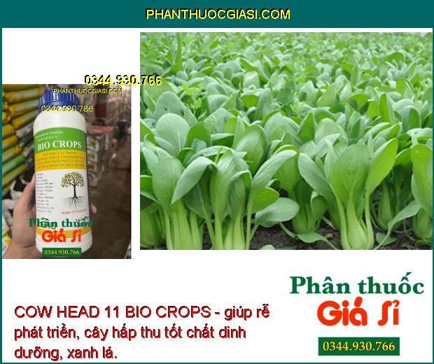 COW HEAD 11 BIO CROPS - Kích Trổ Bông - Chống Rụng Trái -  Dưỡng Trái 