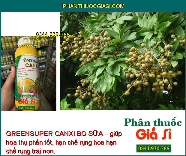 GREENSUPER CANXI BO SỮA – Tăng Đậu Trái - Hạn Chế Rụng Trái Non - Dưỡng Trái Lớn