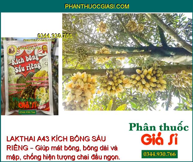 LAKTHAI A43 KÍCH BÔNG SẦU RIÊNG – Kích Ra Hoa Đồng Loạt - Tăng Đậu Trái