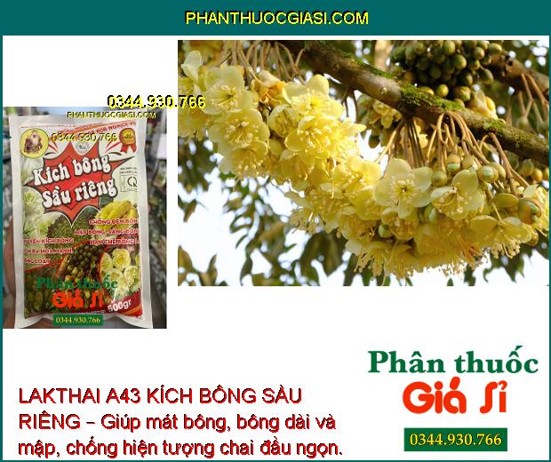 LAKTHAI A43 KÍCH BÔNG SẦU RIÊNG – Kích Ra Hoa Đồng Loạt - Tăng Đậu Trái