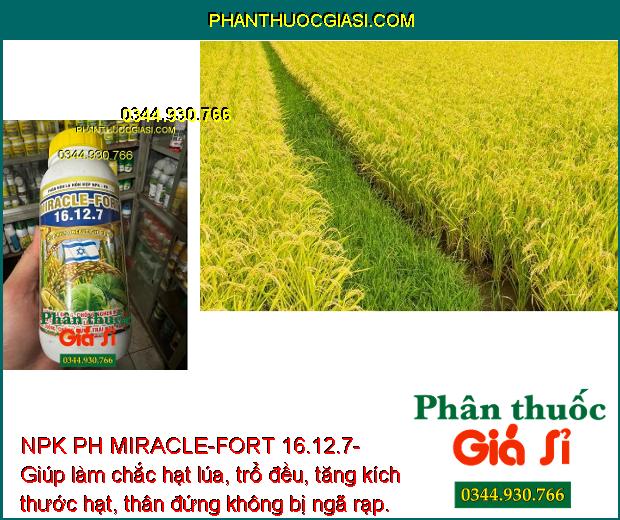 NPK PH MIRACLE-FORT 16.12.7- Tăng Sức Đề Kháng - Dưỡng Đòng Lúa - Tăng Kích Thước Hạt